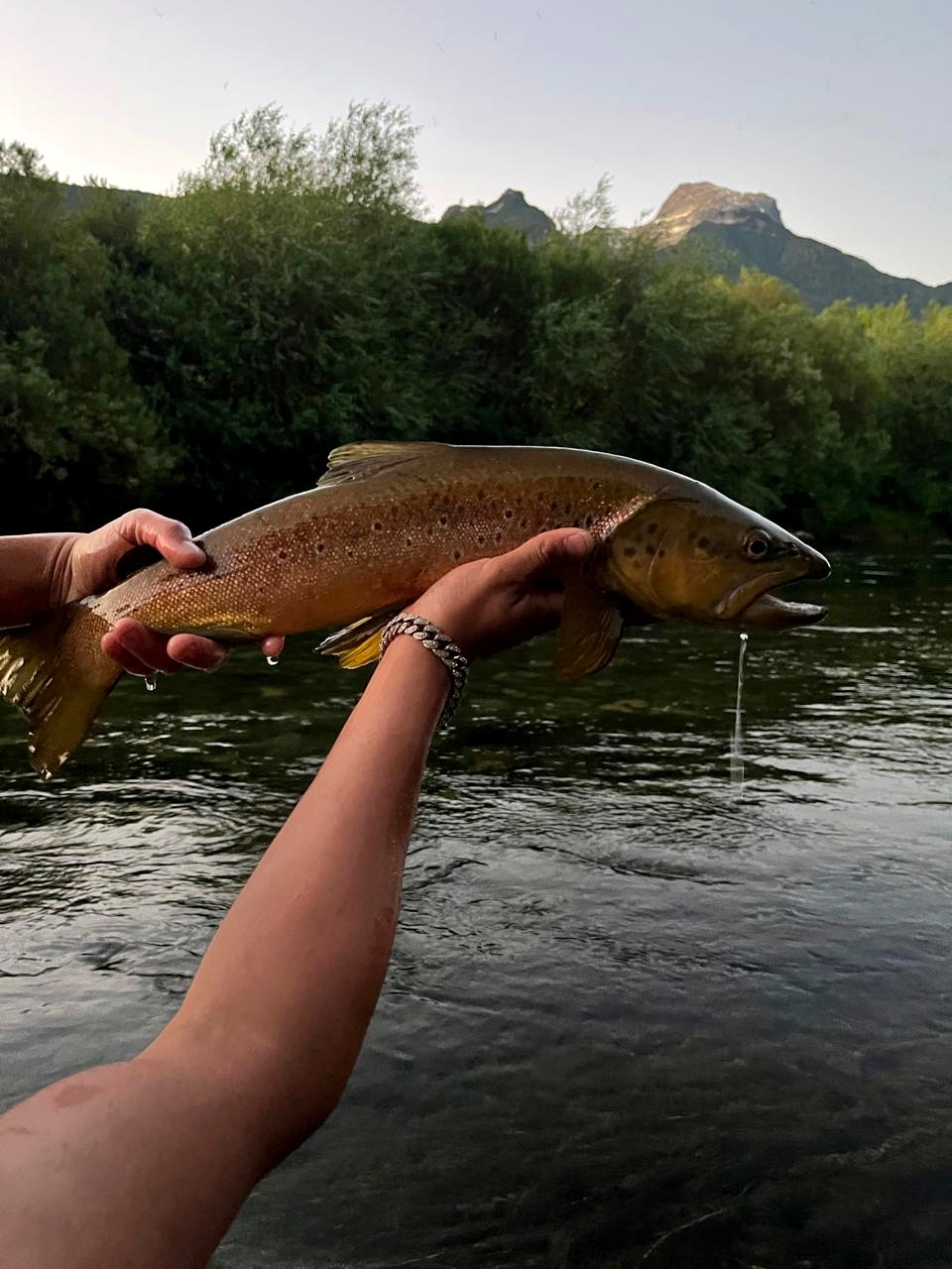 Equipo de pesca con mosca